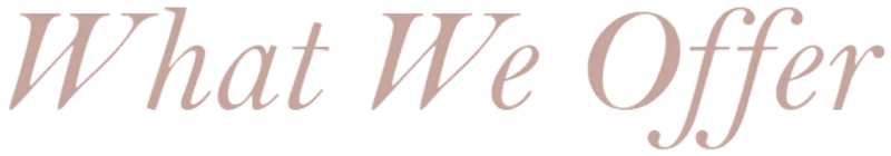 What we offer